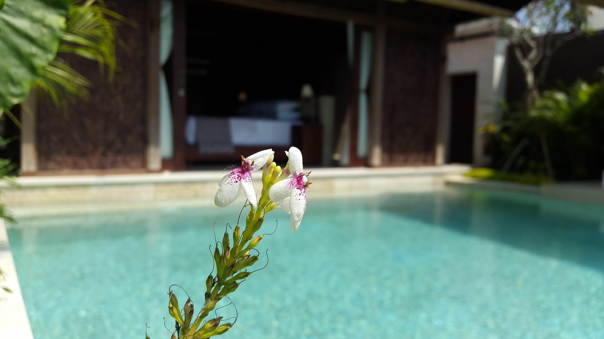 Sri Abi Ratu Villas Sukawati  Exterior photo
